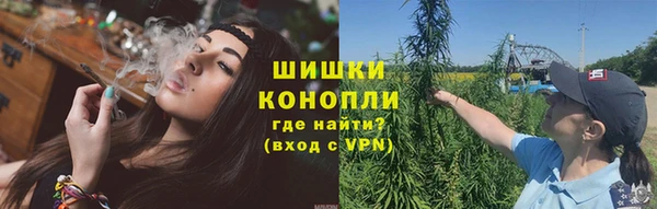дурь Дмитров
