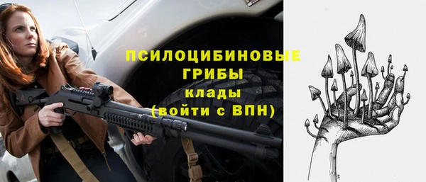 стаф Елабуга