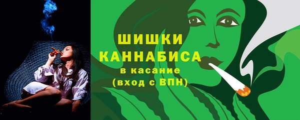 стаф Елабуга
