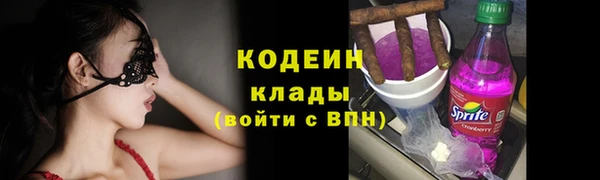 стаф Елабуга