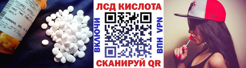 Купить закладки  Новопавловск  LSD-25 экстази ecstasy 