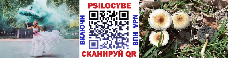 Псилоцибиновые грибы Cubensis  Купить где  Новопавловск 